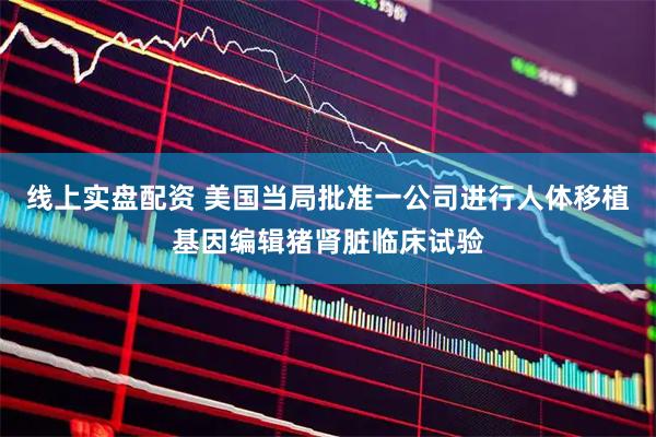 线上实盘配资 美国当局批准一公司进行人体移植基因编辑猪肾脏临床试验