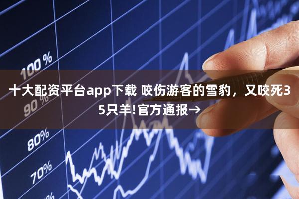 十大配资平台app下载 咬伤游客的雪豹，又咬死35只羊!官方通报→